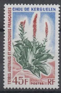 0081 Kvety
