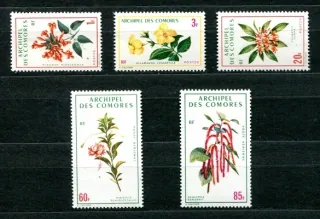 0124-0128 Kvety