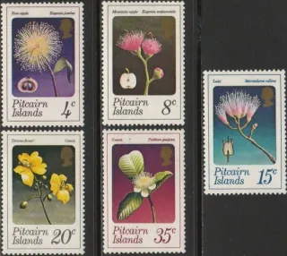 0130-0134 Kvety