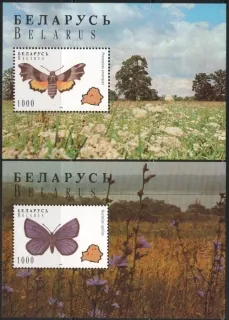 0131-132/BL7,8 motyle