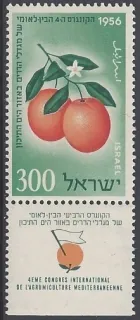 0134 Kvety