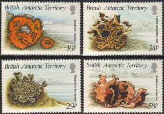 0152-0155