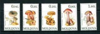 0153-0157 Hríby