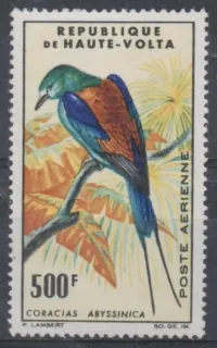 0160 Vtaky