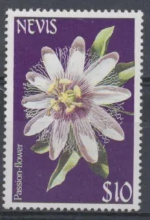 0181 Kvety