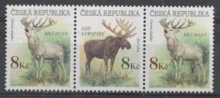 0181 - 0182 ** fauna