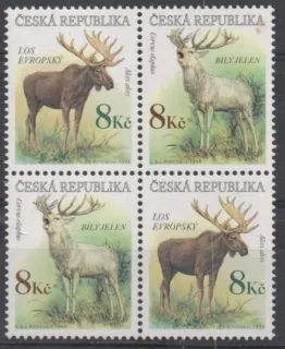 0181 - 0182 ** fauna