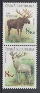0181 - 0182b ** fauna