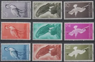 0191-0199 Vtaky