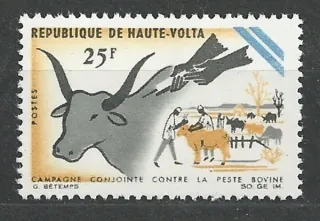0197 Fauna