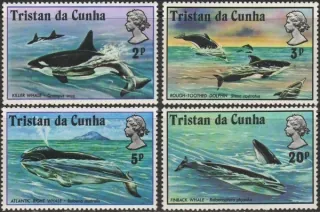 0202-0205 FAUNA