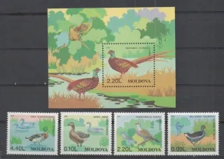 0205-0208 BL 8 Vtaky