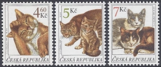 0205 - 0207 ** mačky