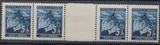 020**MS