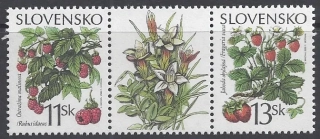 0215-0216 S