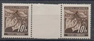 021**MS