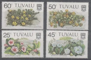 0224-0227 Kvety