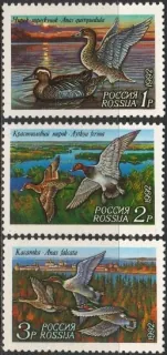 0254-0256 Vtáky