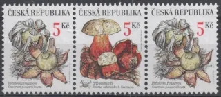 0264-0265 **