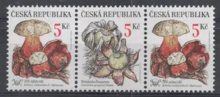 0264-0265 **