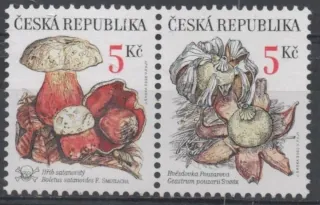 0264-0265a **