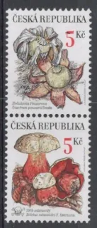 0264-0265c **