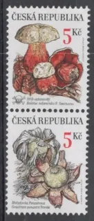 0264-0265d **