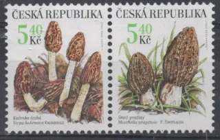 0266-0267a **
