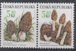 0266-0267b **