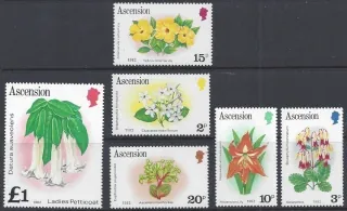 0277-0289 Kvety