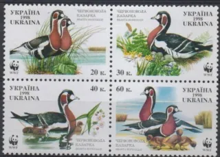 0282-0285 A Vtáky