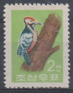 0298 Vtaky