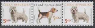0298 - 0299 ** psy