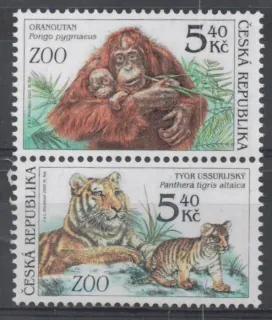 0303 - 0302 ** fauna