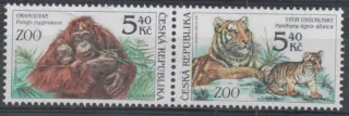 0303 - 0302 ** fauna