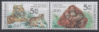 0302 - 0303 ** fauna