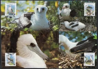 0303-0306 Vtáky
