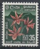 0303 Kvety