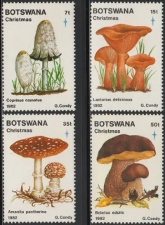 0317-0320 Hríby