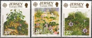 0378-0380 Flora