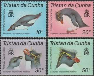 0425-0428 Fauna