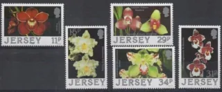 0425-0429 Kvety