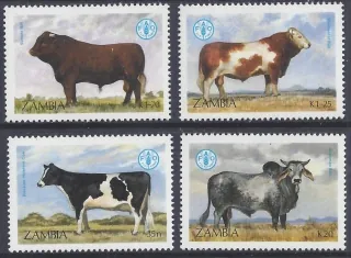 0429-0432 Fauna