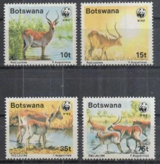 0431-0434 Fauna