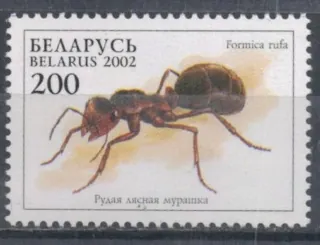 0443 Fauna