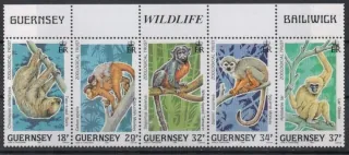 0465-0469 **Fauna