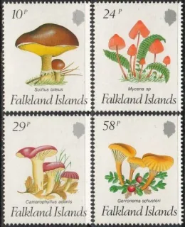 0468-0471 Hríby