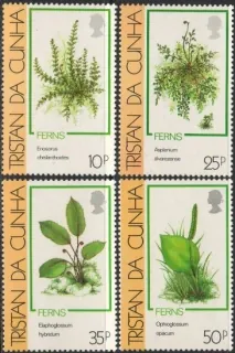 0473-0476 Flora