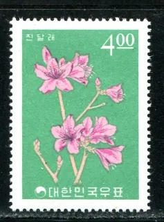 0478 Kvety