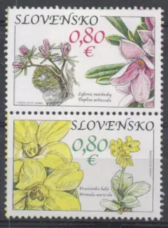 0482-0483 ZV1